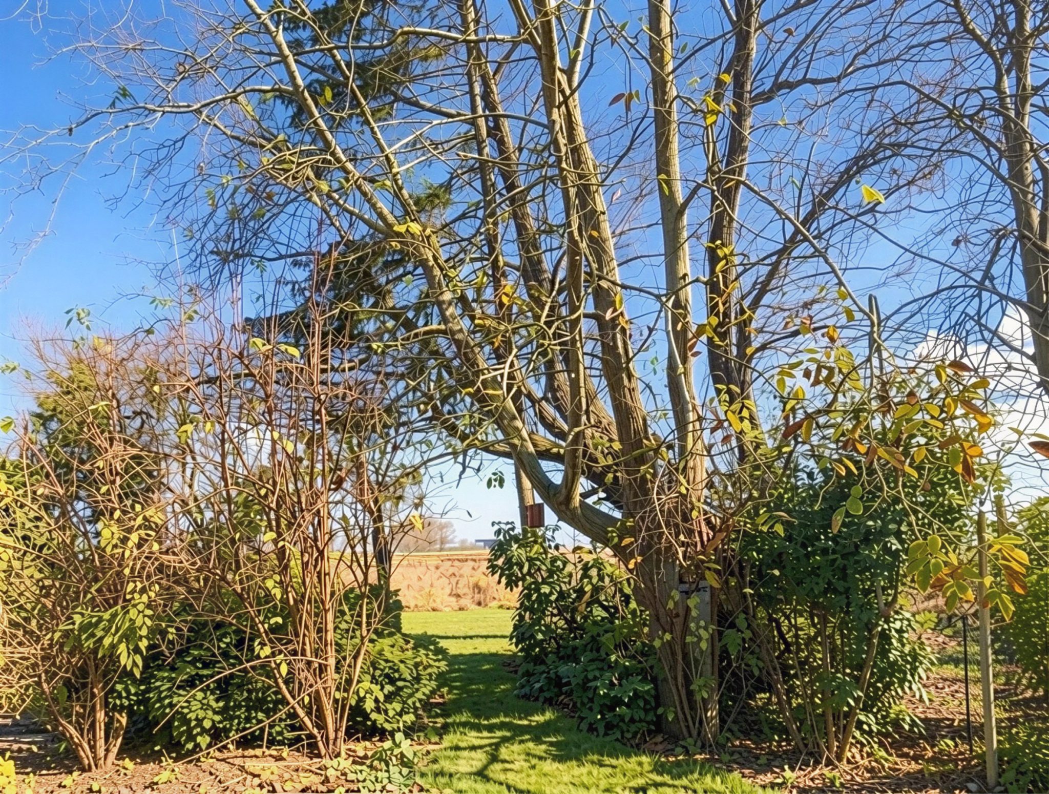 Immobilienangebot - Seevetal - Alle - Grundstück am grünen südlichen Rand nahe der Elbe mit viel potenzial
