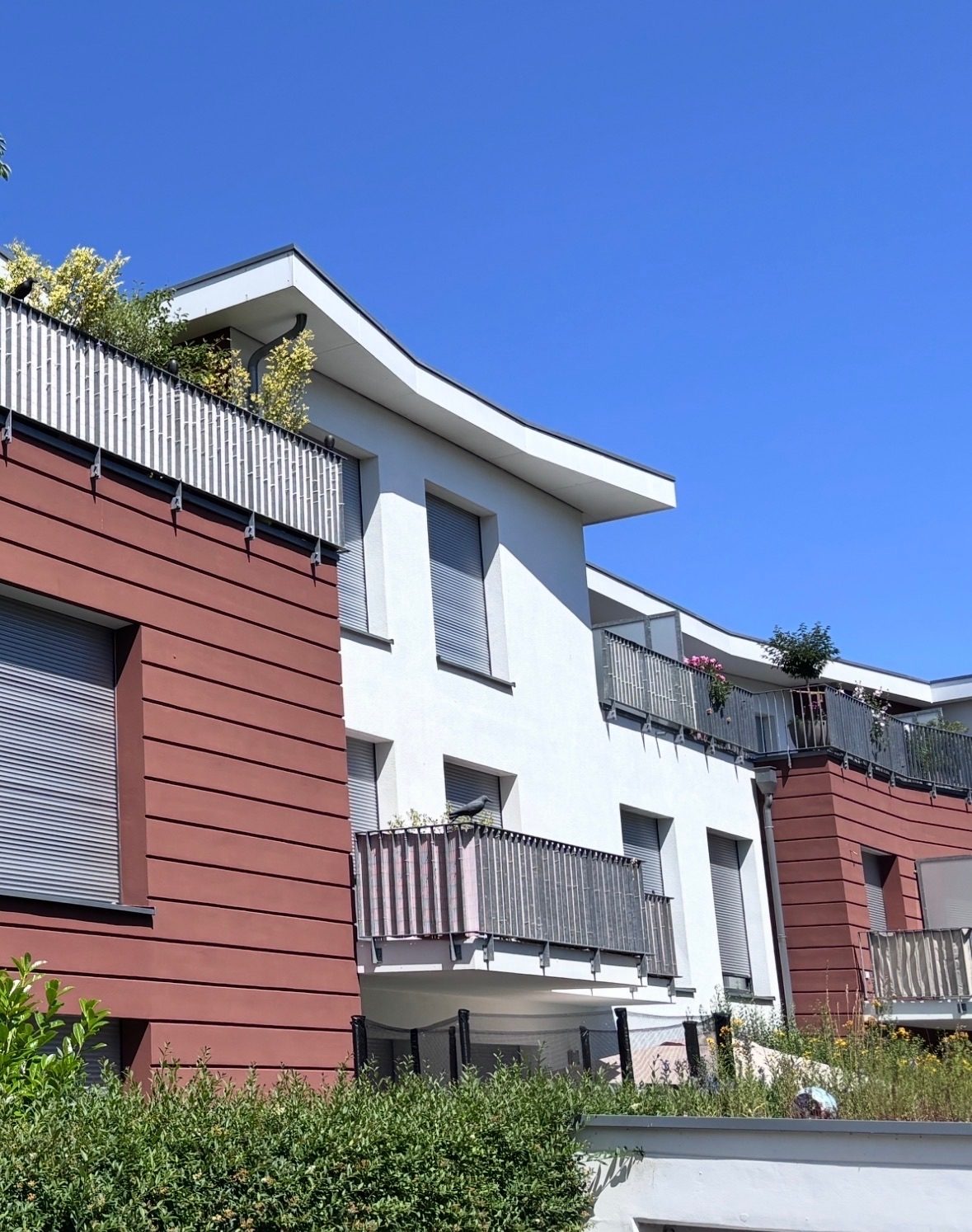 Immobilienangebot - Hamburg - Alle - Helle 4-Zimmer-Wohnung mit zwei Balkonen in einer Lage zum Wohlfühlen