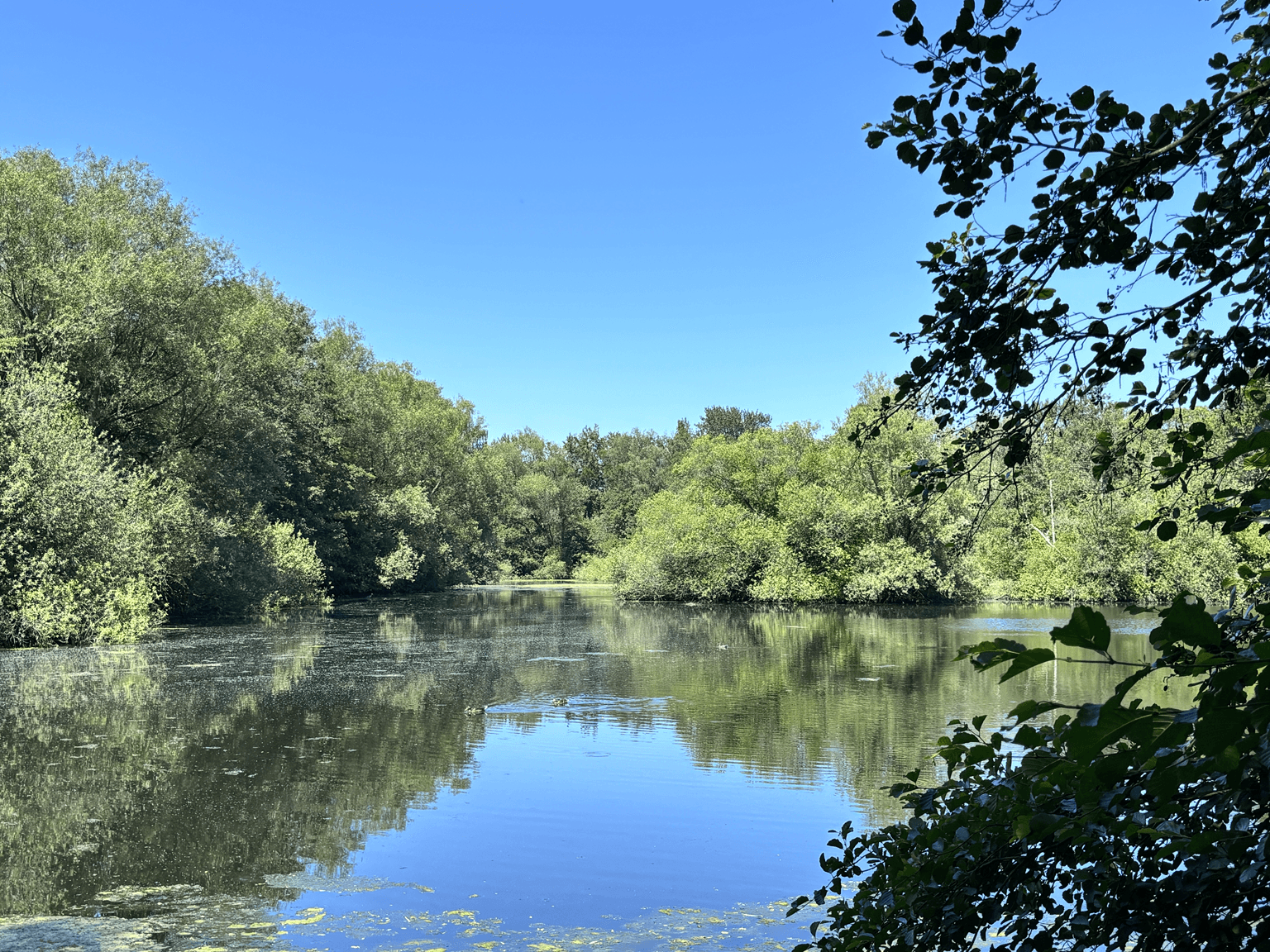 Immobilienangebot - Hamburg - Alle - Helle 4-Zimmer-Wohnung mit zwei Balkonen in einer Lage zum Wohlfühlen