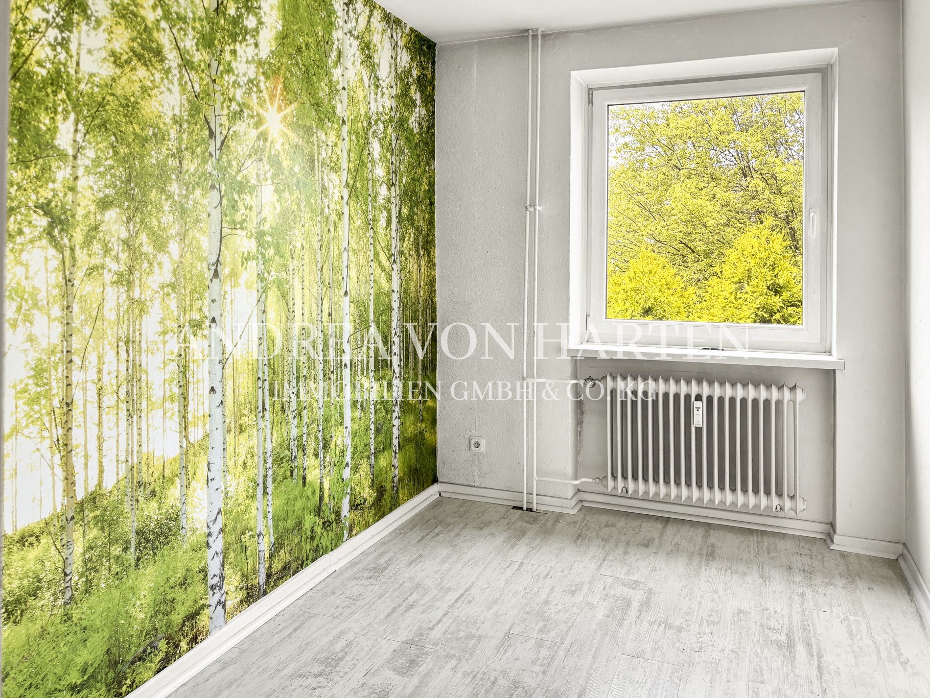 Immobilienangebot - Hamburg - Alle - Ruhig, hell, gut geschnitten: 2,5-Zimmer-Wohnung mit Balkon in HH-Bramfeld